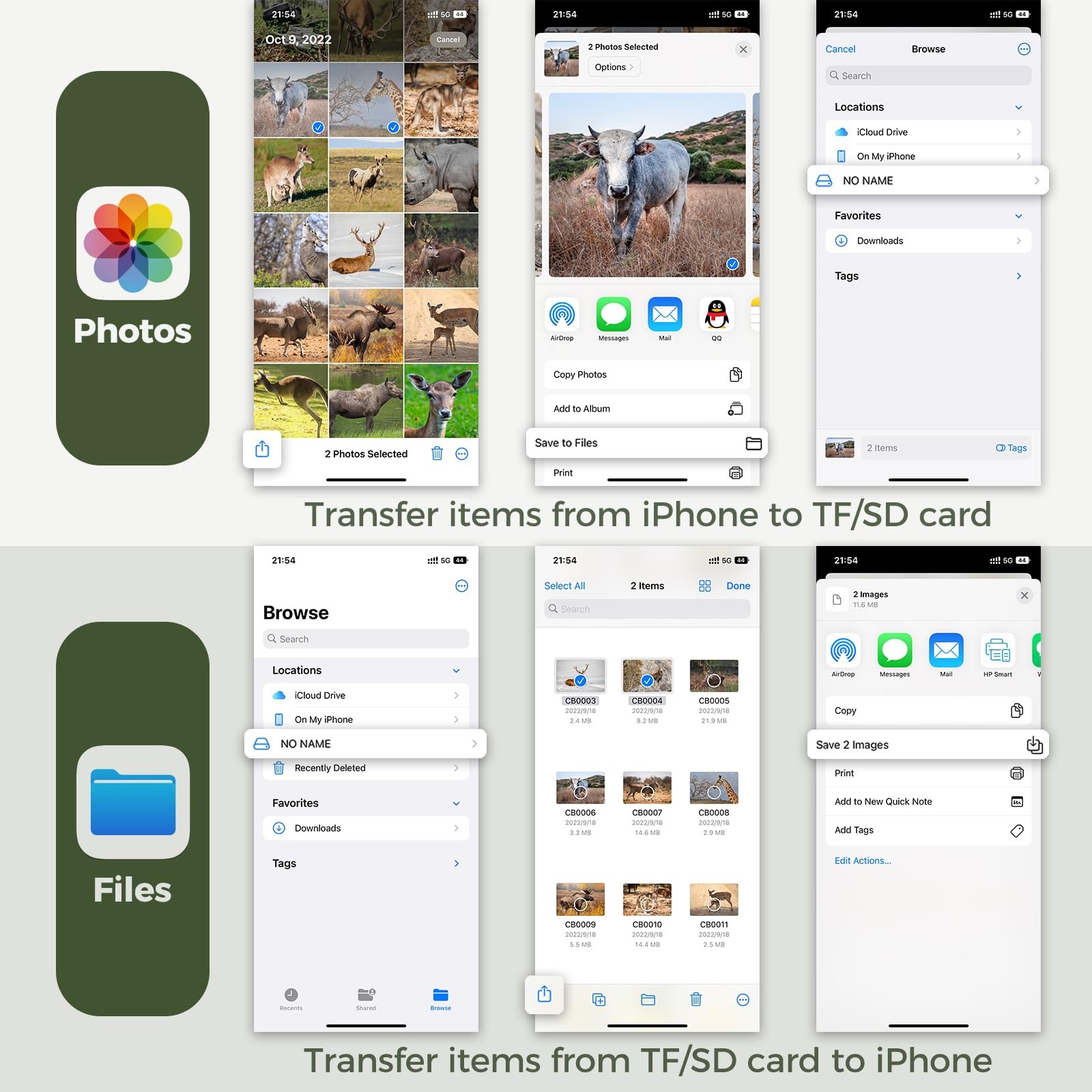 Trail Camera Viewer, Game SD Card Reader for 1 Count (Pack of 1)