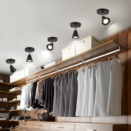 Modern Flush Mount Ceiling Spot Light, Adjustable Directional 1 light (2 pack)