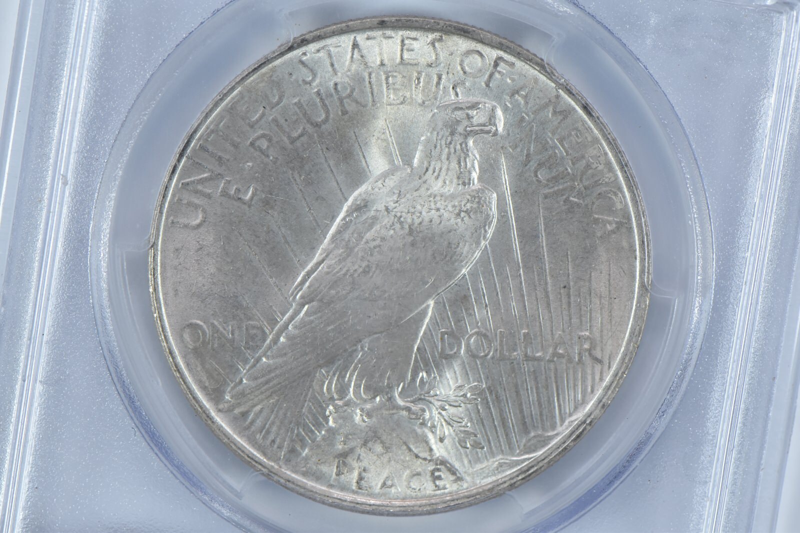 1924 Peace Silver Dollar MS63 PCGS Blue Label