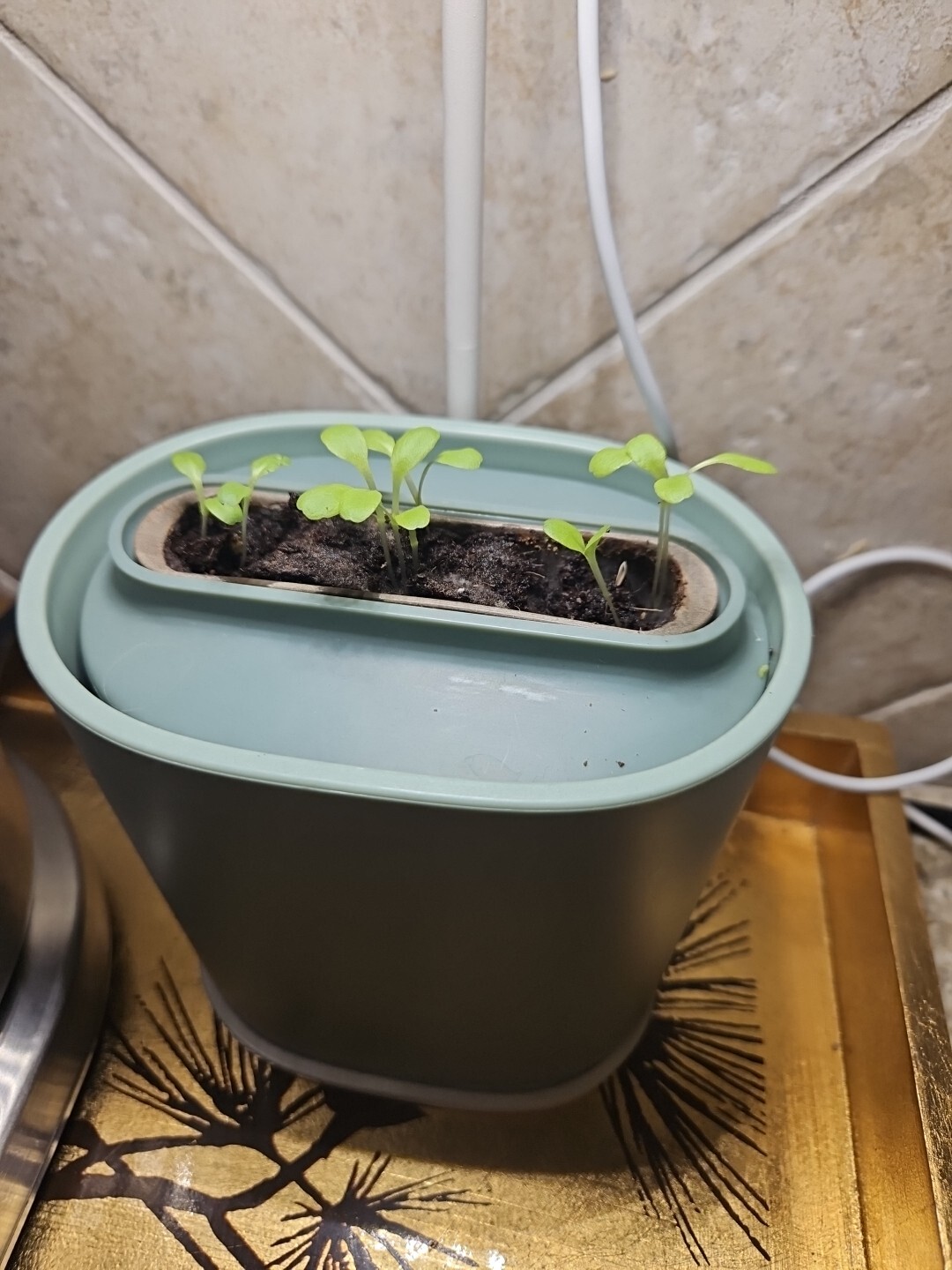 Pret A Pousser Nano Garden