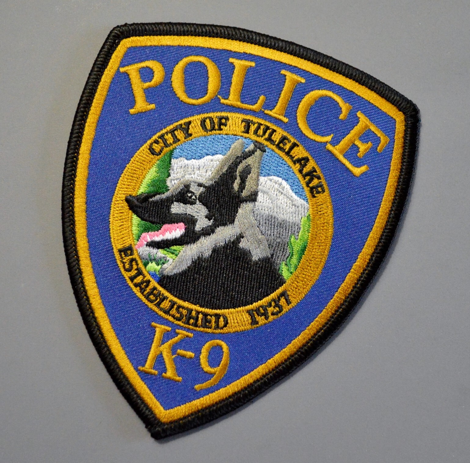 Tulelake California Police K-9 German Shepherd Patch ++ Mint Siskiyou County CA