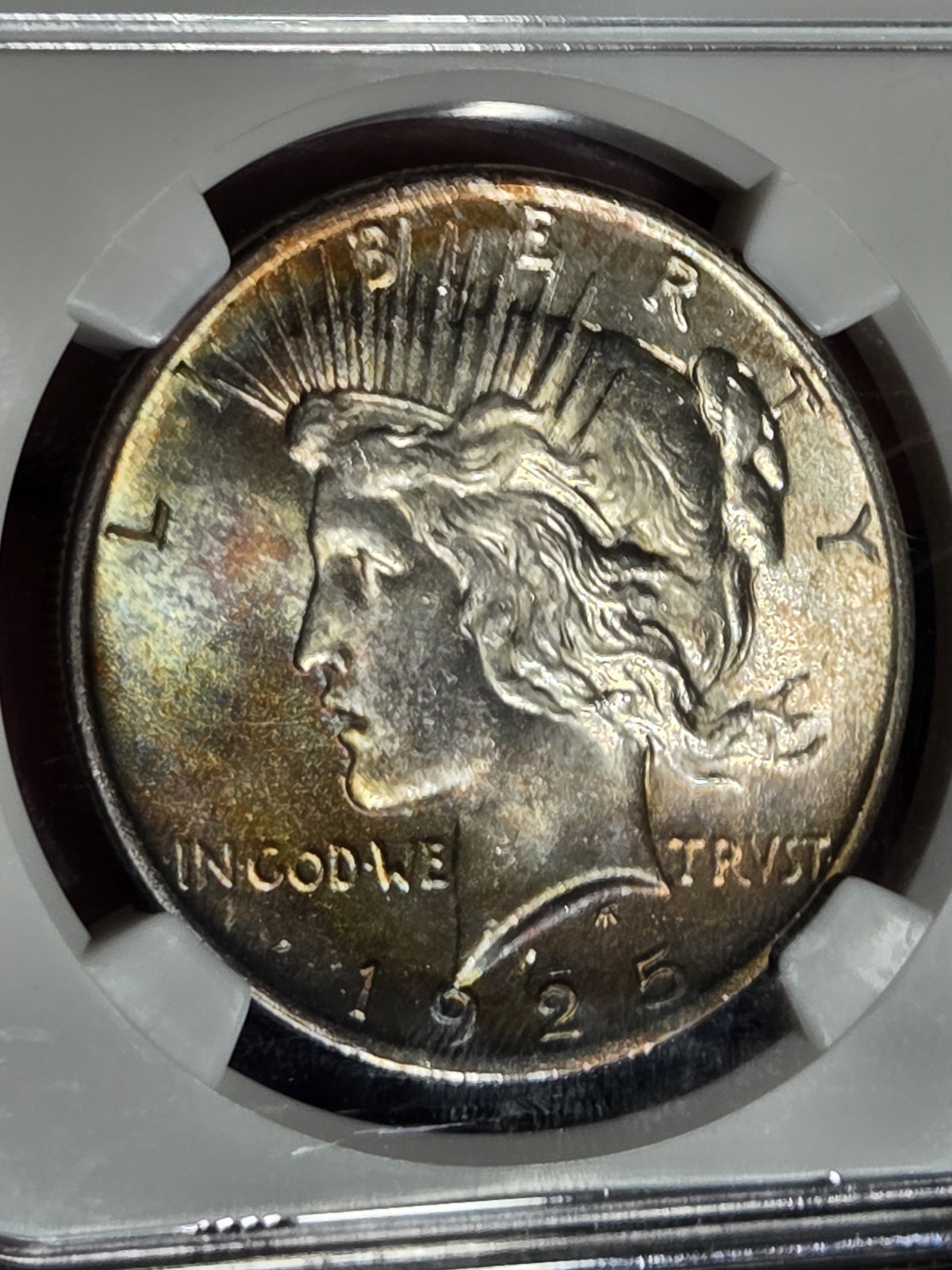 1925 $1 Peace Dollar NGC MS65 Toned