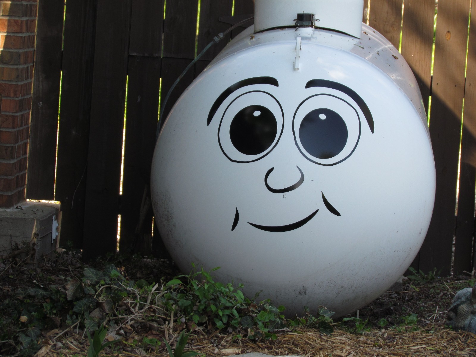 Propane Tank Funny Face -  Quality Vinyl Decal Sticker - Select Color