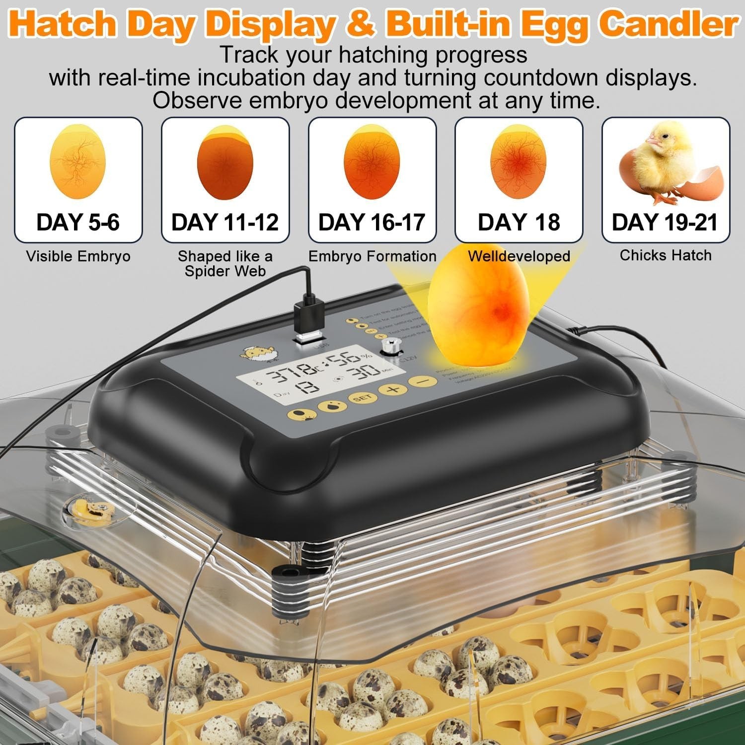 30 Egg Incubator with Humidity Display, Egg Candler, Automatic Egg Turner, for H