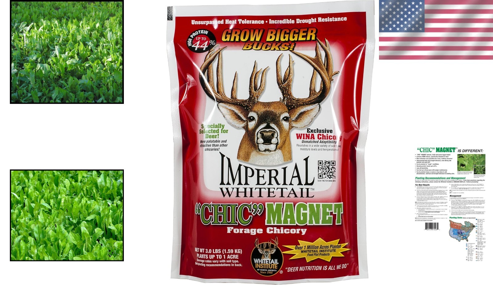 Deer Food Plot Seed with Antler-Building Protein