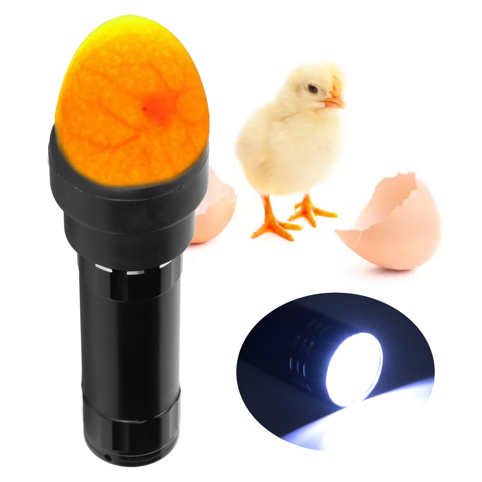 Egg Candler Tester Cool Light Lamp For Checking Egg Hatching Trending