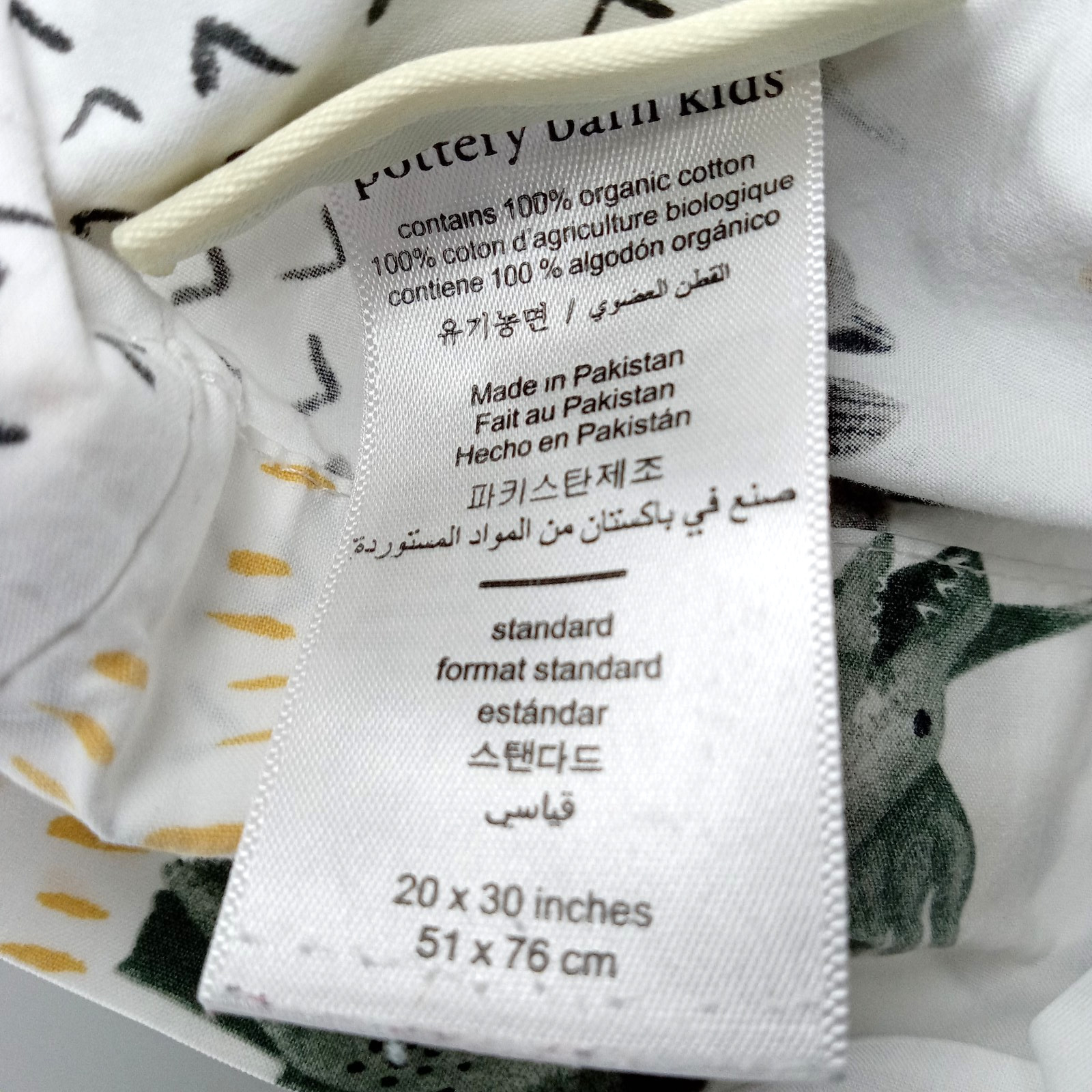 Pottery Barn Kids Organic Cotton Pillowcase Standard Size Boys Dinosaur Theme