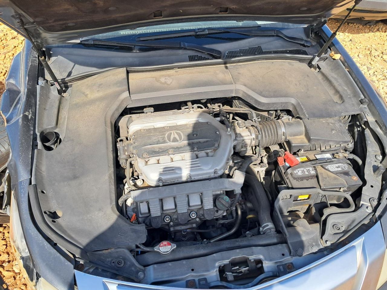 TL 2010 Glove Box 4808620