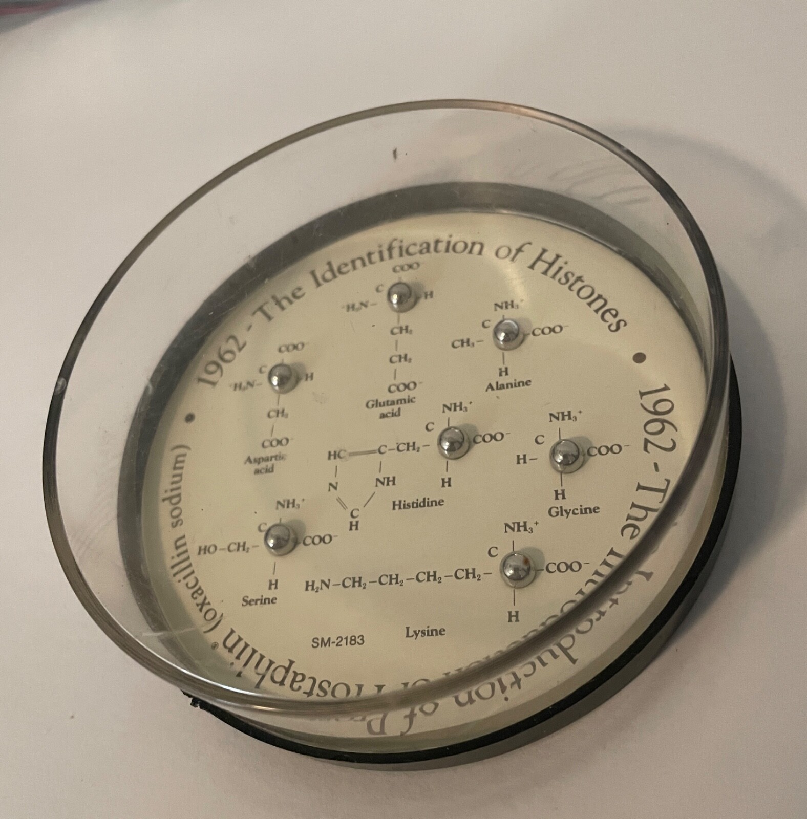 RARE! 1962 The Prostaphlin of Histones Advertising Ball Bearing Game SM-2183