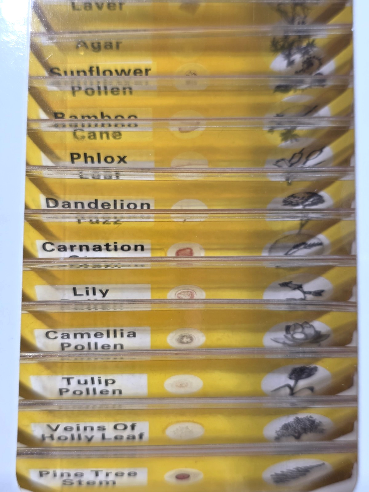 DIY SCIENCE 48 Prepared‎ Microscope Slides Educational Type - NIB