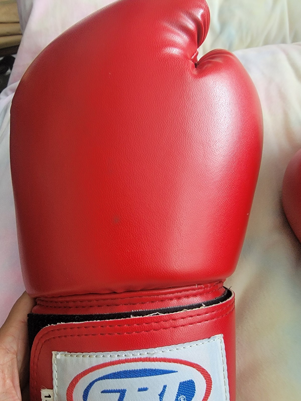 FBT 10 OZ Boxing Gloves
