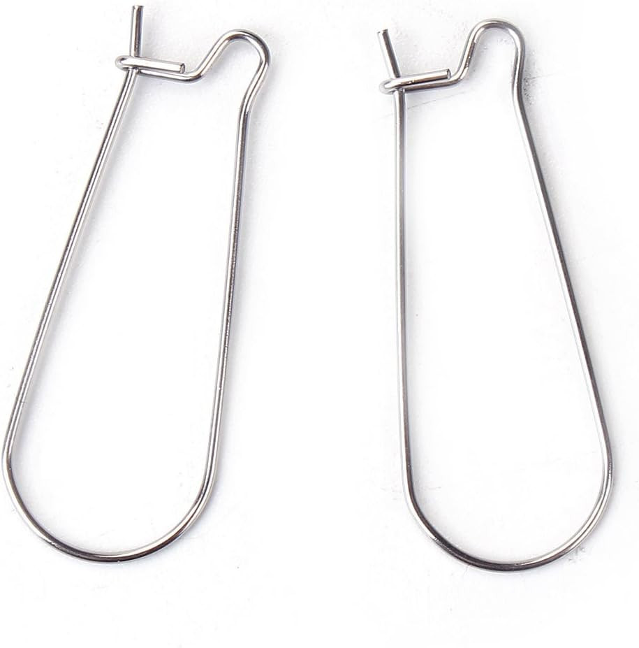 Stainless Steel Ear Wire Hooks, 48 Pack Earring Findings, Secure Lock Kidney Wir