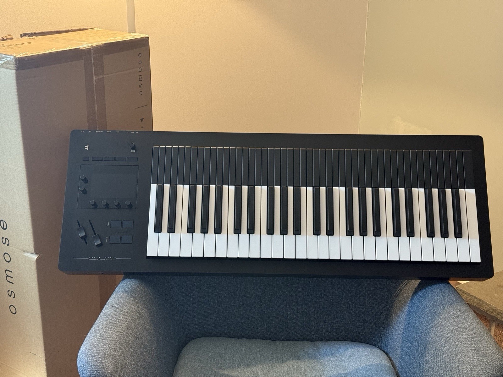 Expressive E Osmose 49-Key polyphonic  Keyboard Synthesizer With Case