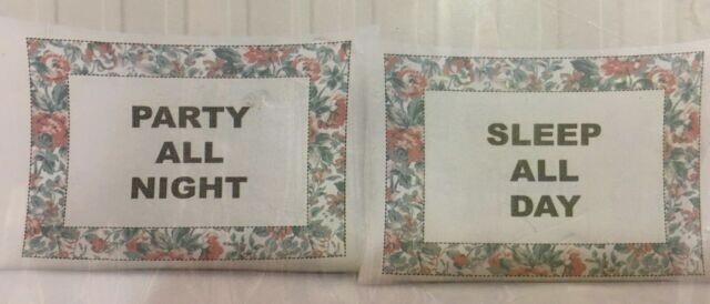 Urban Domain, 2 Standard Novelty Pillowcase | "Party All Night .. Sleep all Day"