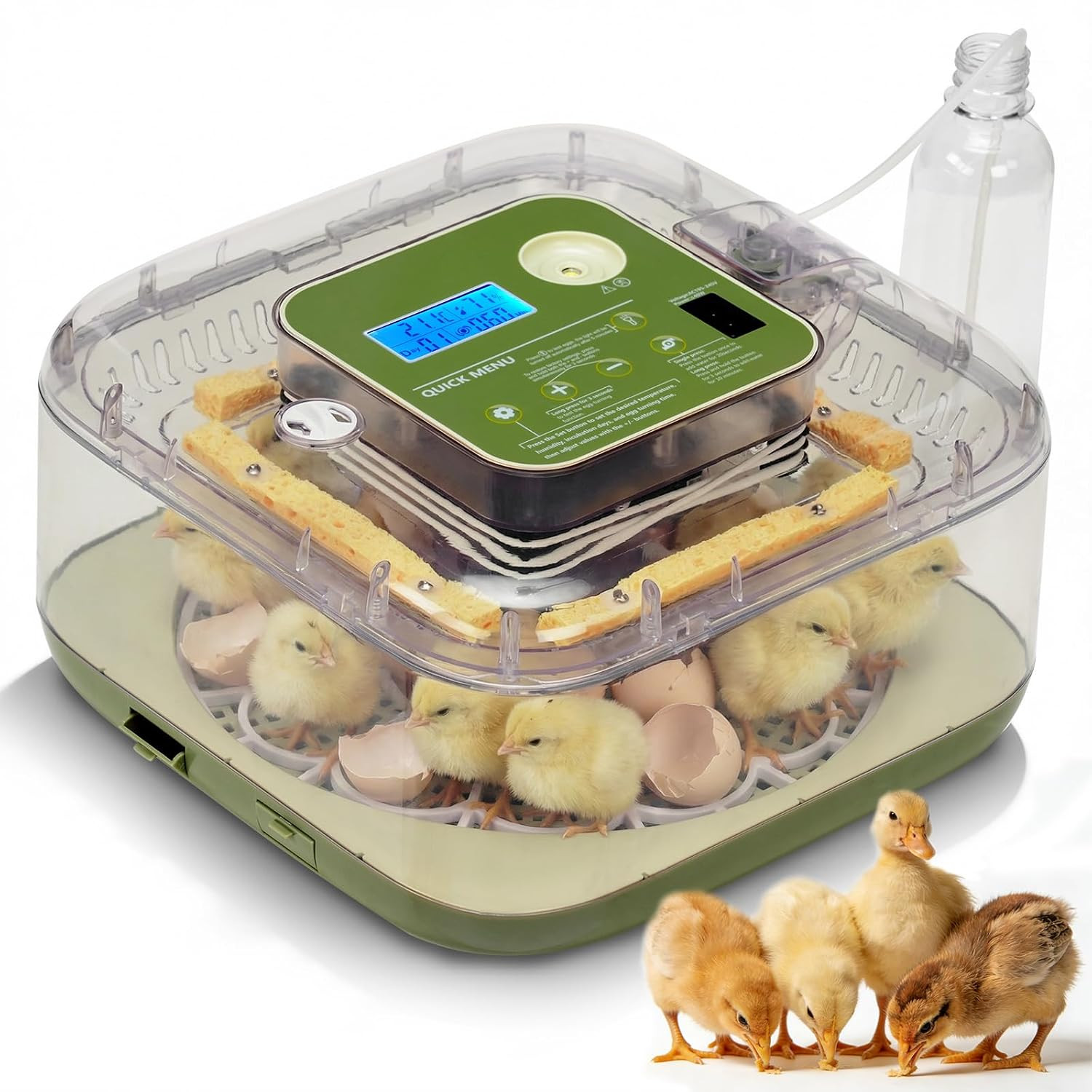 Incubators for Hatching Eggs, 12 Egg Incubator with Automatic Egg Turning, Tempe