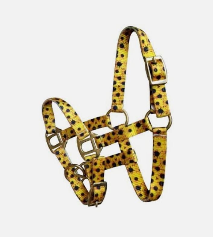 FOAL or MINI HALTER Sunflower Print Nylon with Brass Hardware