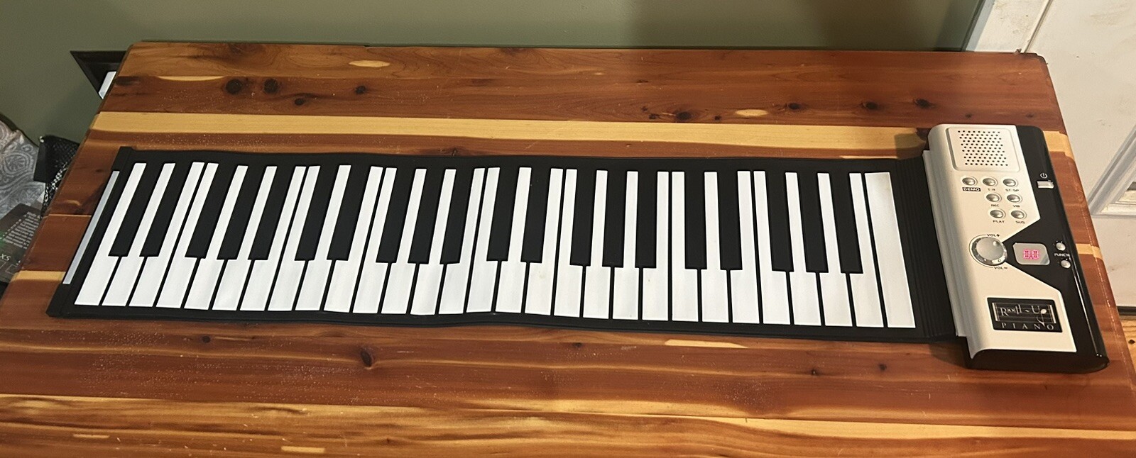 Electronic Roll Up Piano (Take It Anywhere)