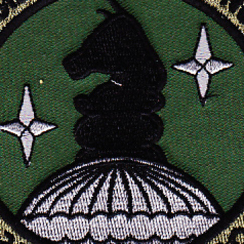31st Rescue Squadron Patch