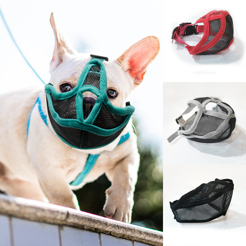 Secure Muzzle For Short Flat Nosed Breed Dogs French Bull Boxer Boston .