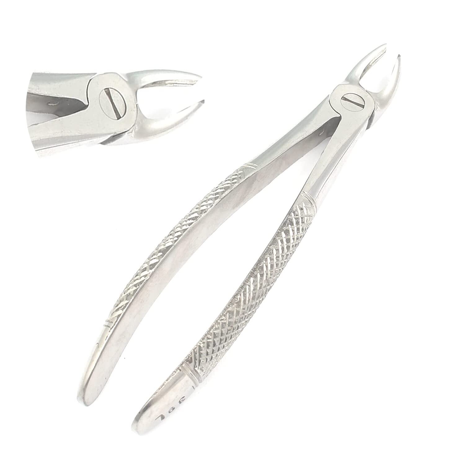 Dental Extracting Forceps #39L Surgical Dental Instruments