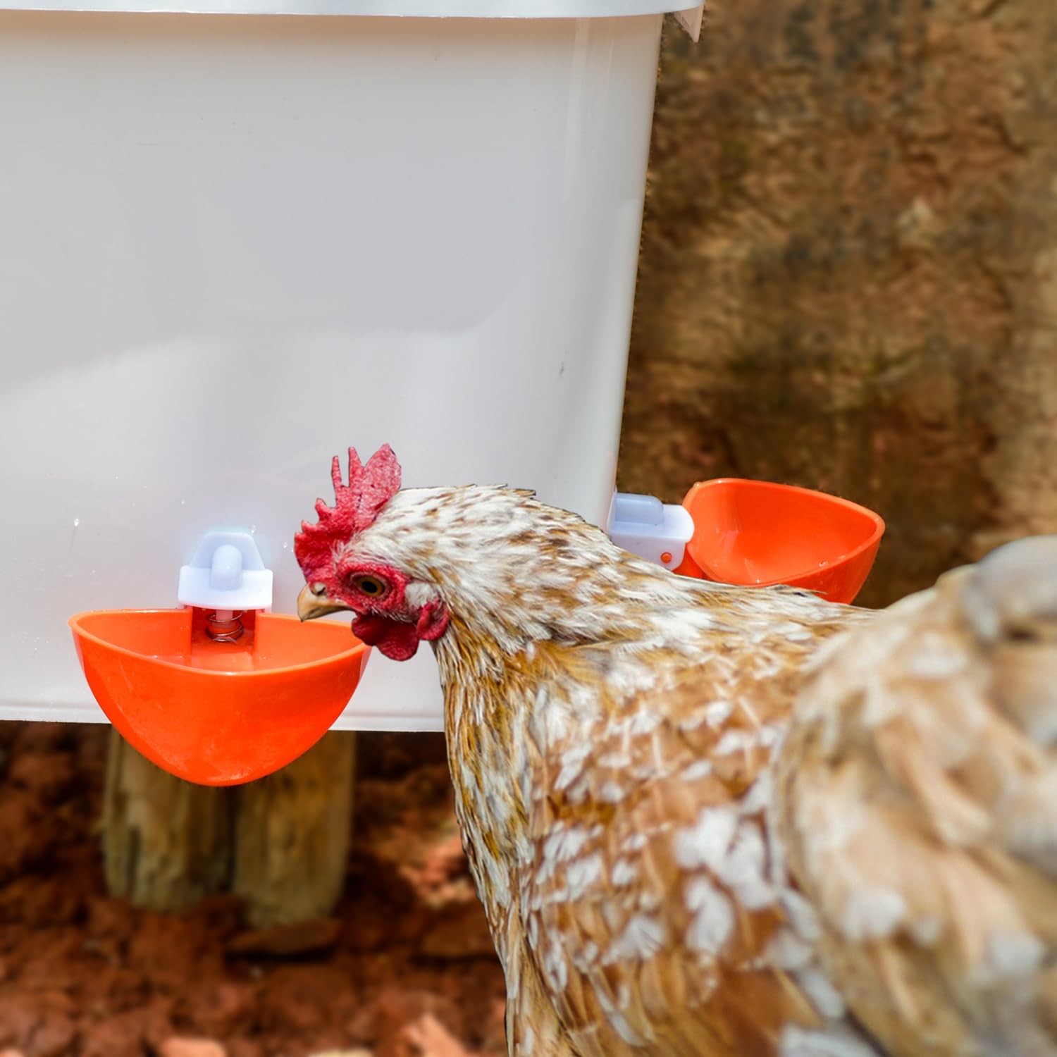 Large Automatic Chicken Feeder and Waterer 2.6 Gal & Waterer, White