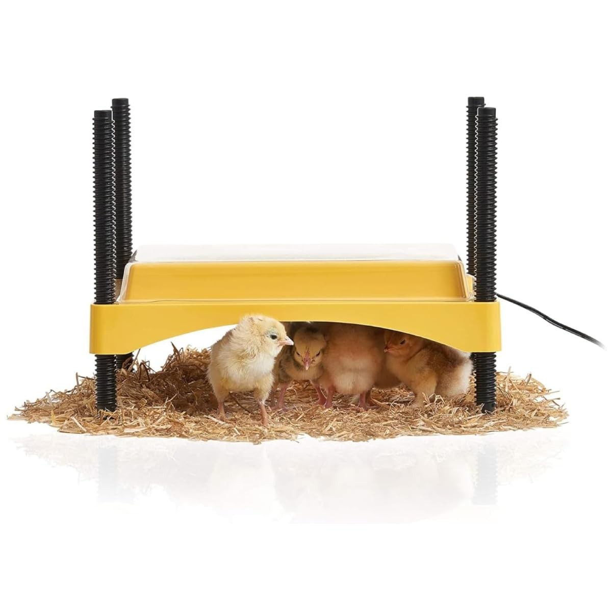 Brinsea Products Ecoglow 20 Safety 600 Brooder for Chicks Or Ducklings, Yellow/B