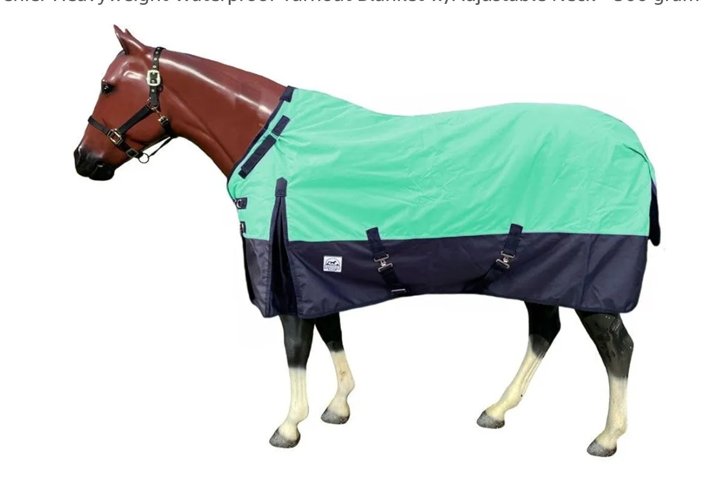 1200 Denier Waterproof Turnout Blanket-300 Gr Fill Lightweight & Breathable Teal