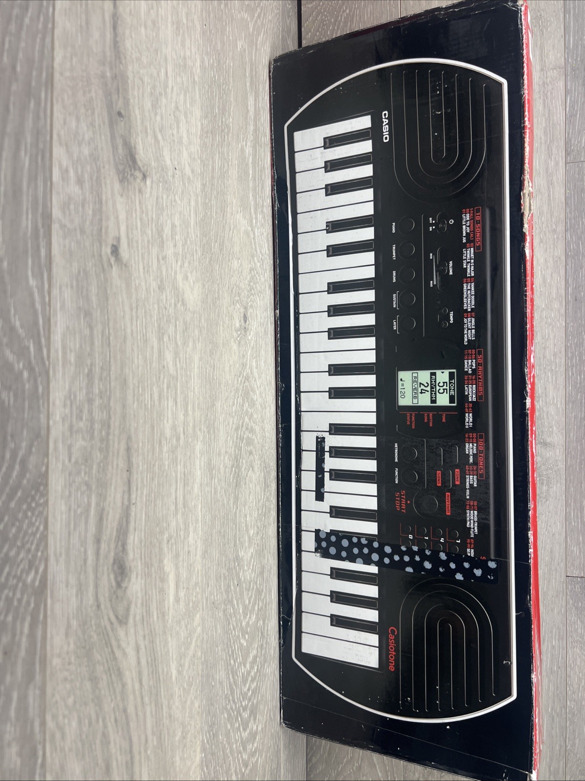 Casio Casiotone 44-Mini-Key Keyboard 100 Tones 50 Rhythms