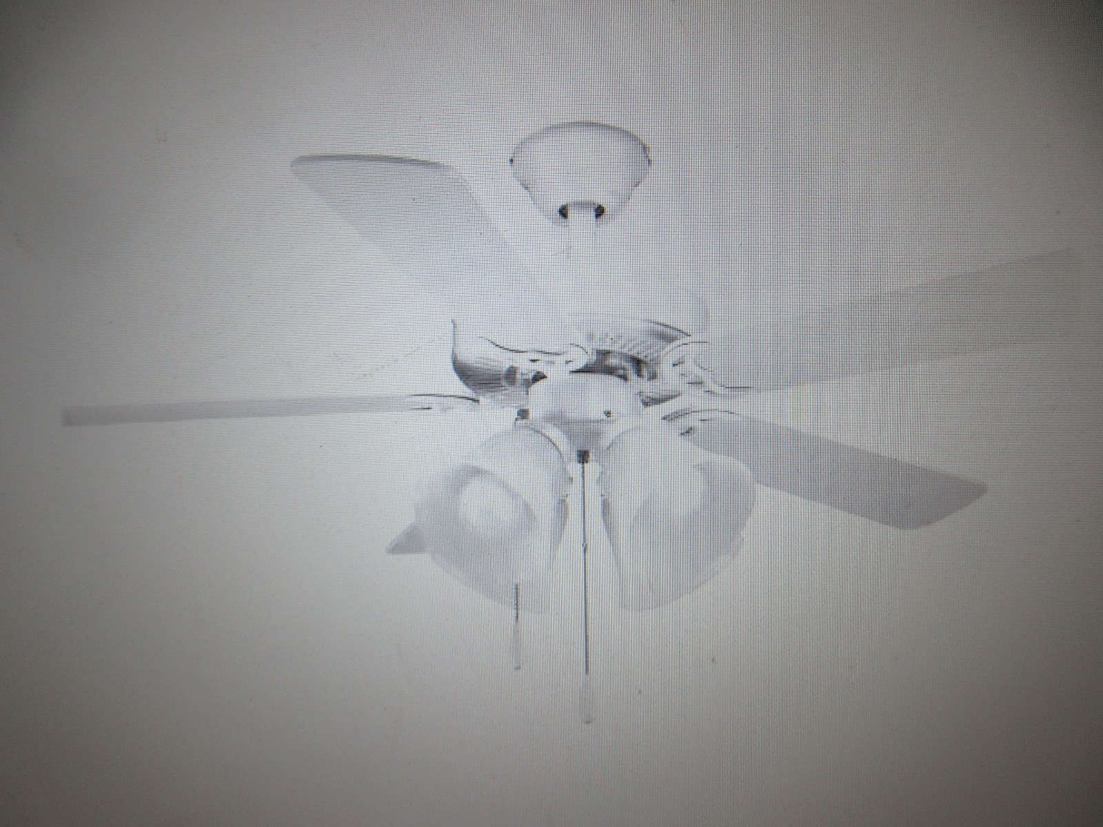 Progress Lighting Fan Light Kit Collection 4-Light White Ceiling Fan Light Kit