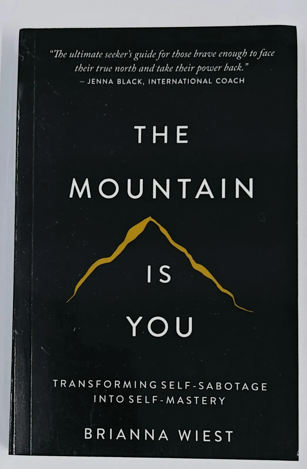 THE MOUNTAIN IS YOU BY BRIANNA WIEST USA stock Fast Shipping Paperback