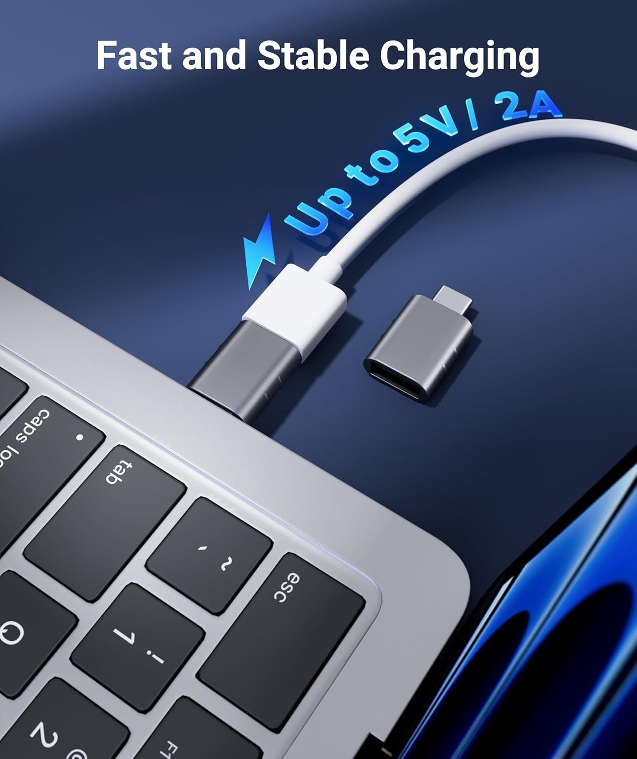 Syntech USB C to USB Adapter 2 Pack USB 3.0 Female Thunderbolt 3/4 Space Gray