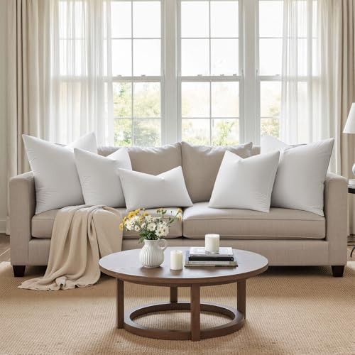 Pack of 4 22x22 Pillow Inserts, Premium Feather and Down Decorative 22x22 Inch