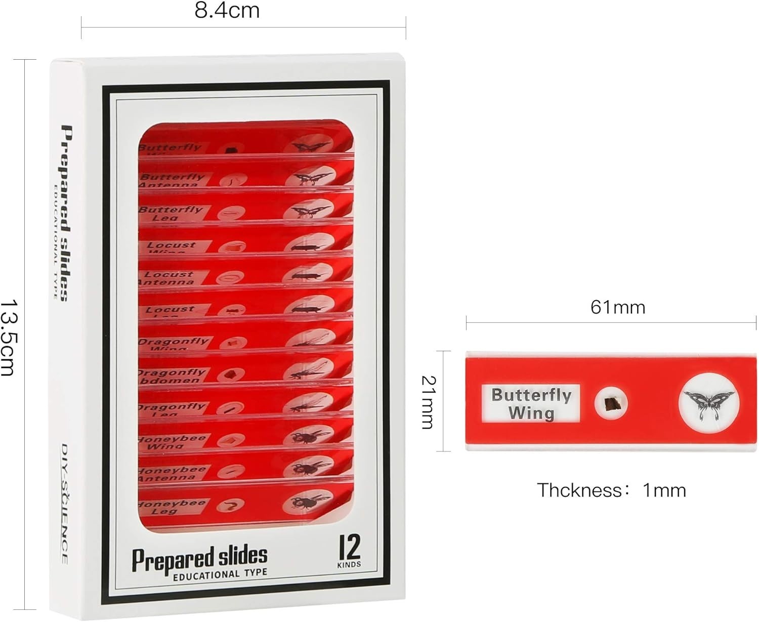 48 Prepared Microscope Slides for Kids - Safe & Clear Science Education