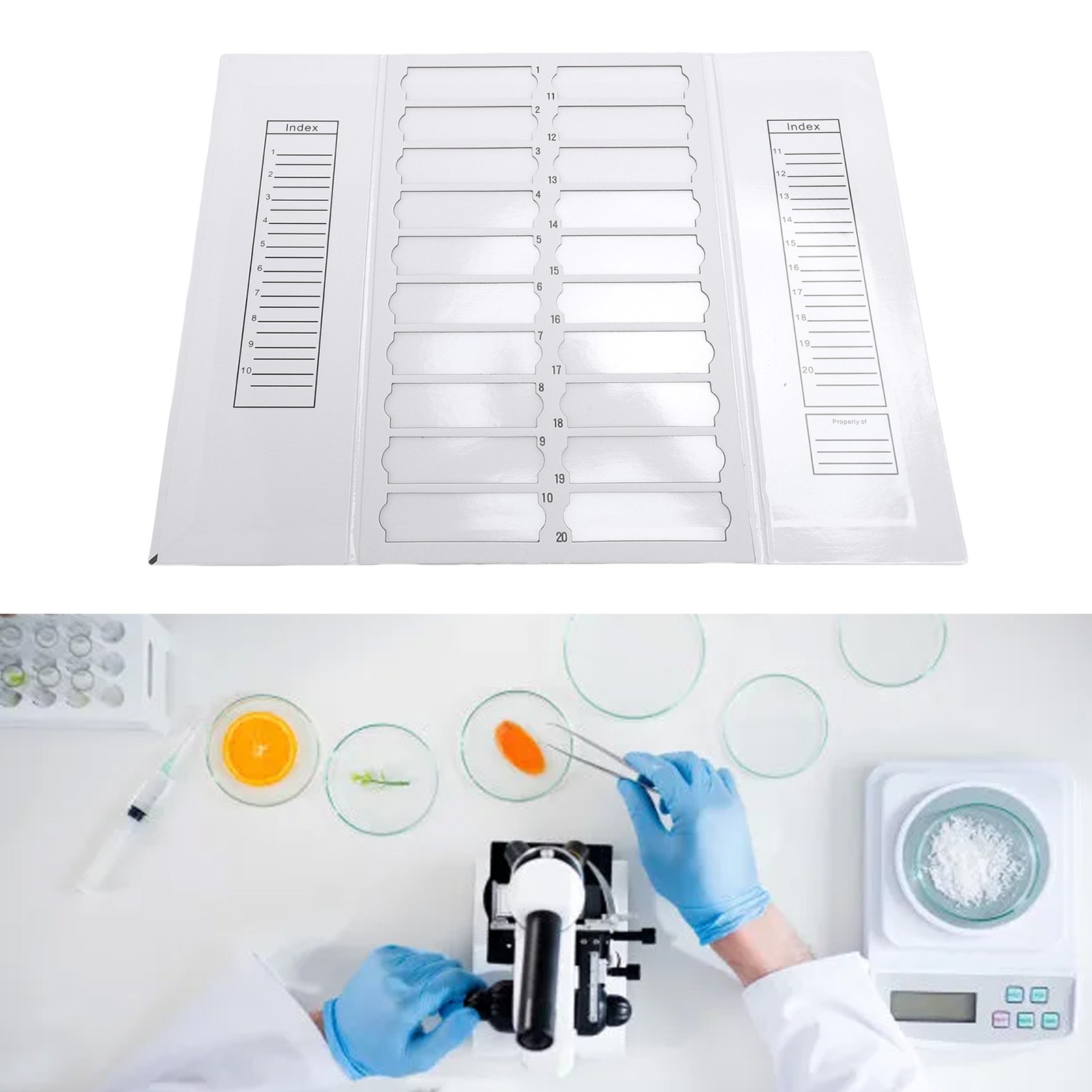 20 Places Microscope Slide Tray For Easy Slide Access Recommended
