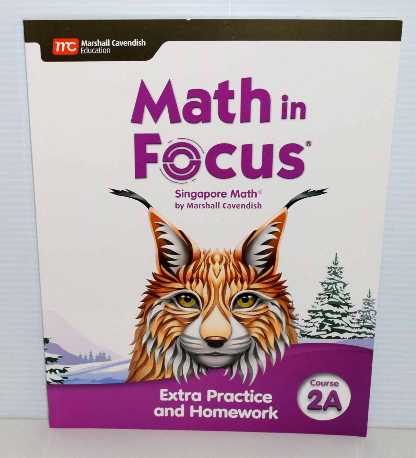 Math in Focus Course 2A Extra Practice & Homework Ed. 2020  Brand New FREE SHIP