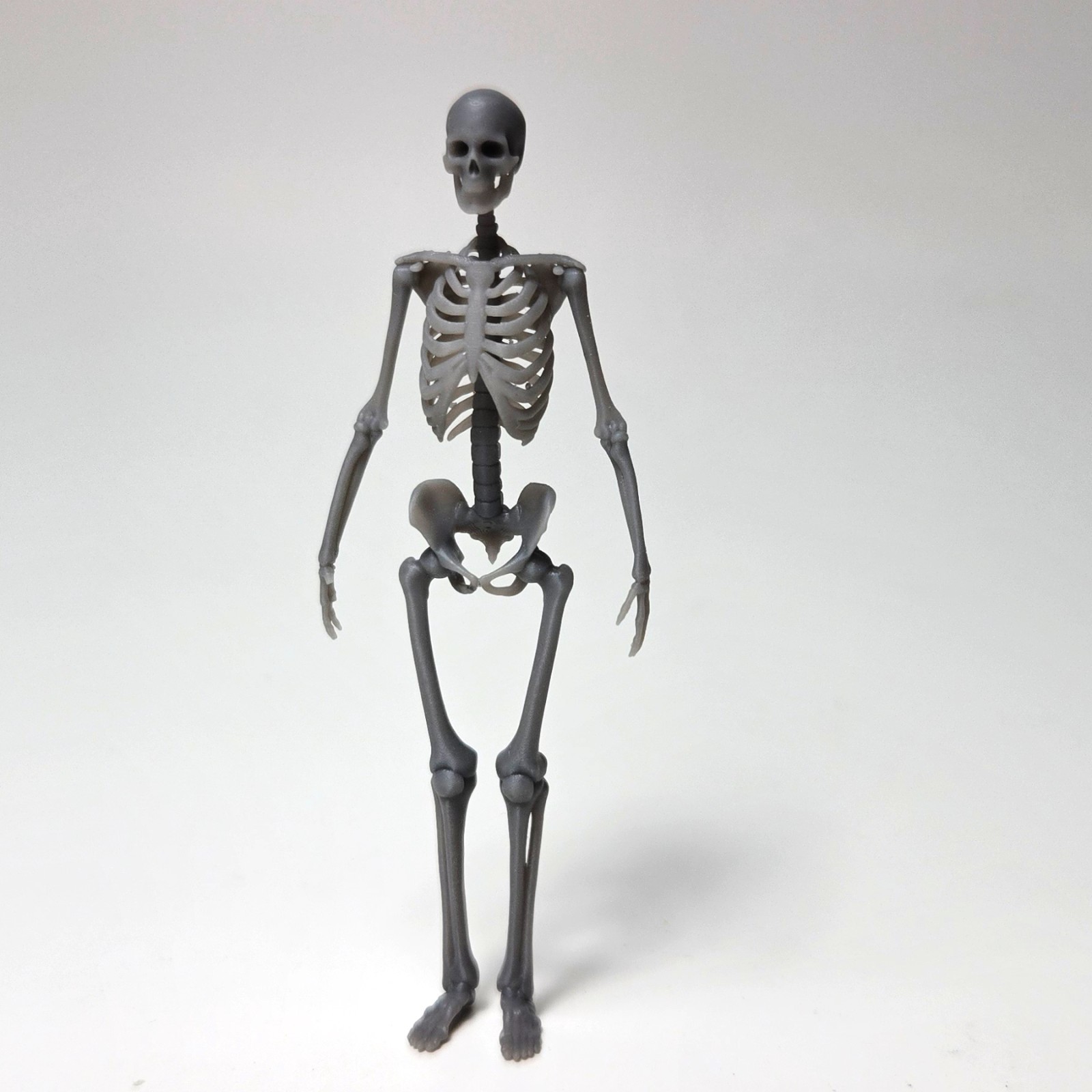 Skeletons 1/24 - 1/25 Scale (2 Pack)