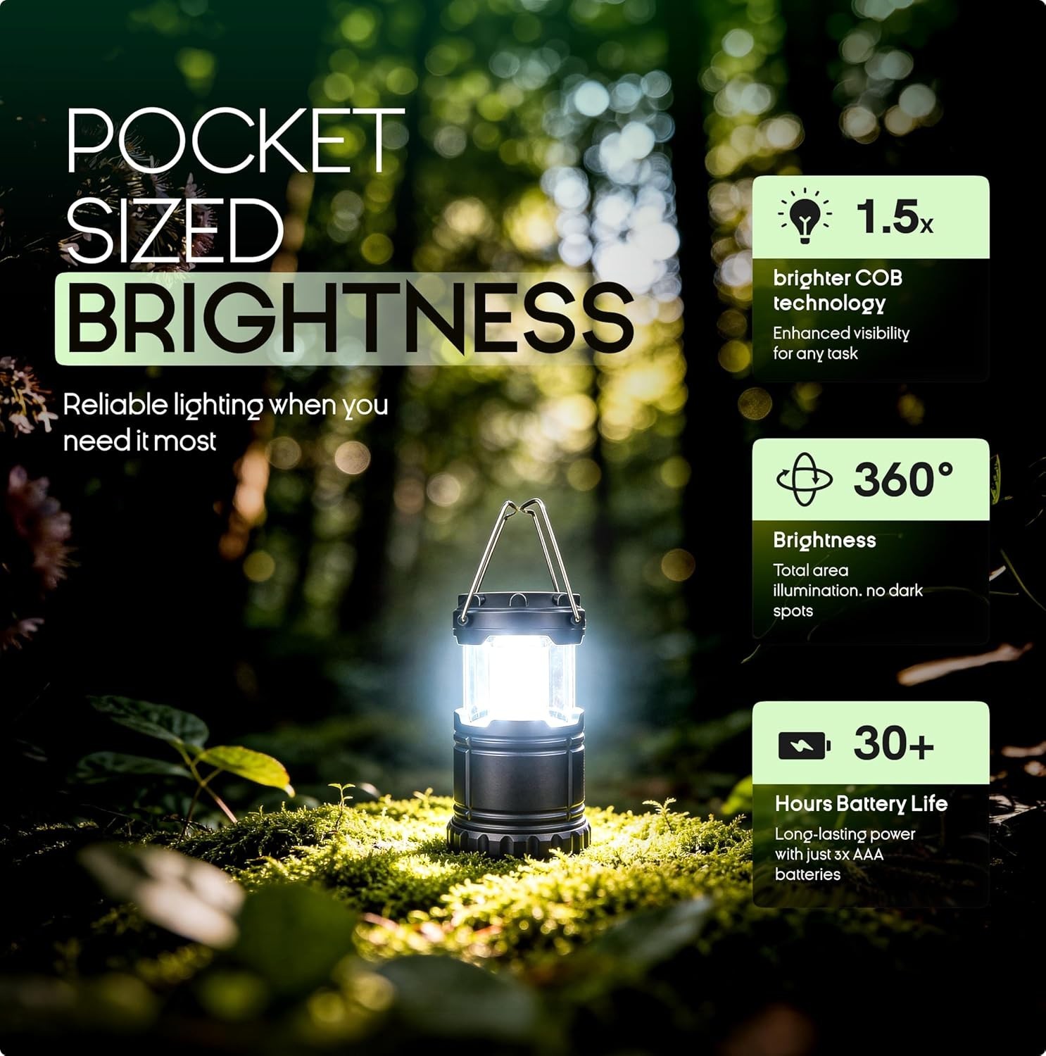 LED Camping Lantern Flashlight, Battery Powered, 300 Lumens, 2-Pack