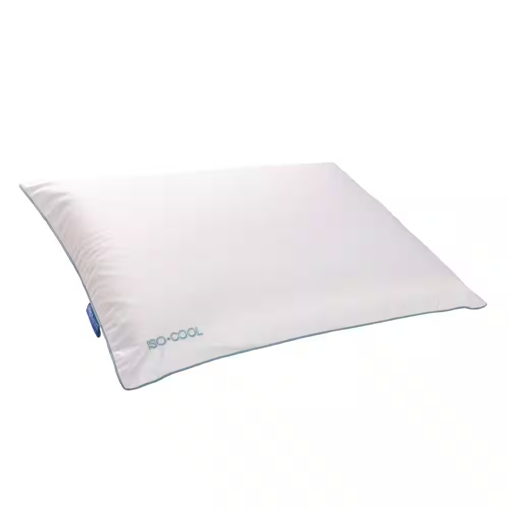 Memory Foam Traditional Pillow