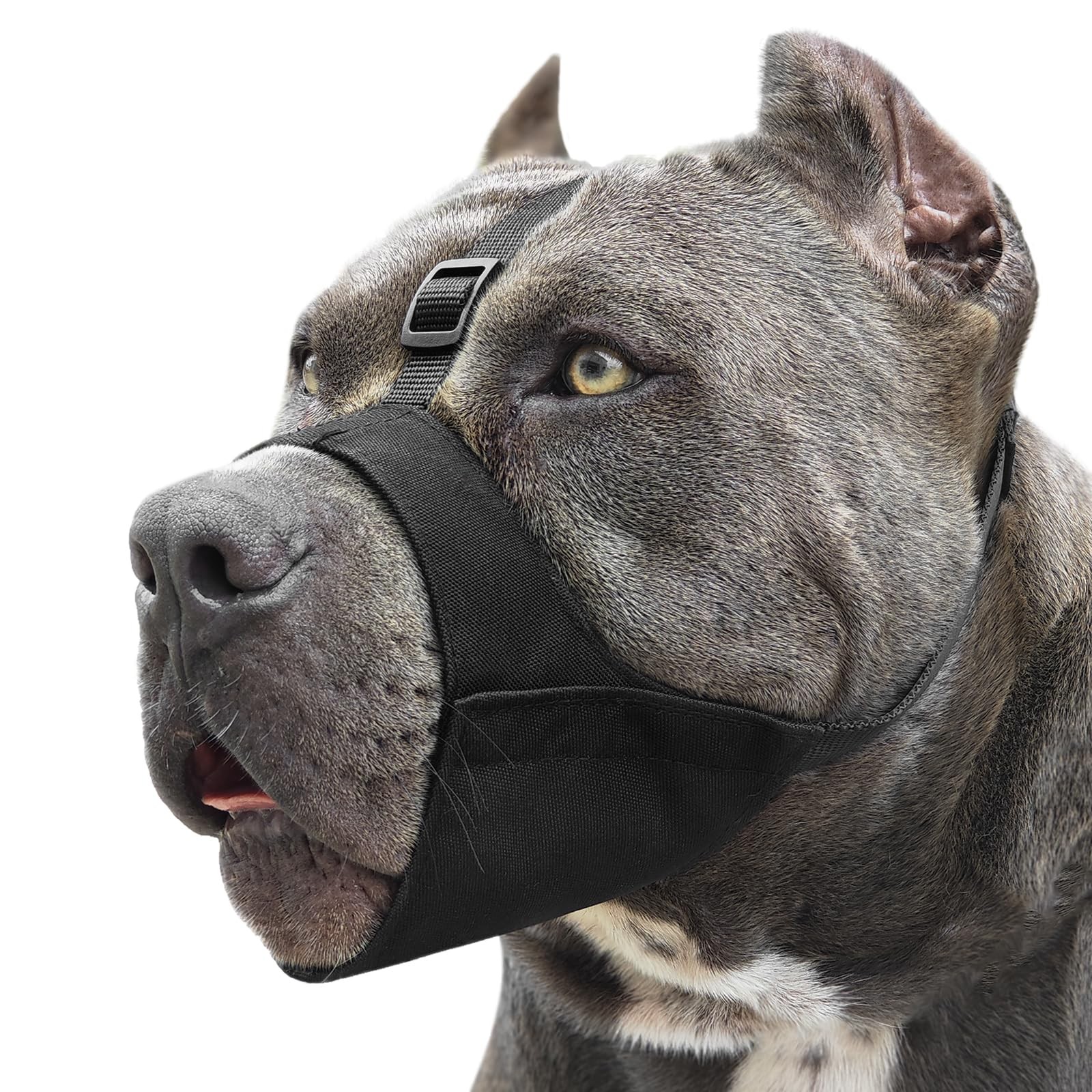 Mayerzon Pitbull Muzzle, Soft Dog Muzzle with L [Snout Cir: 9.75"-11"], Black