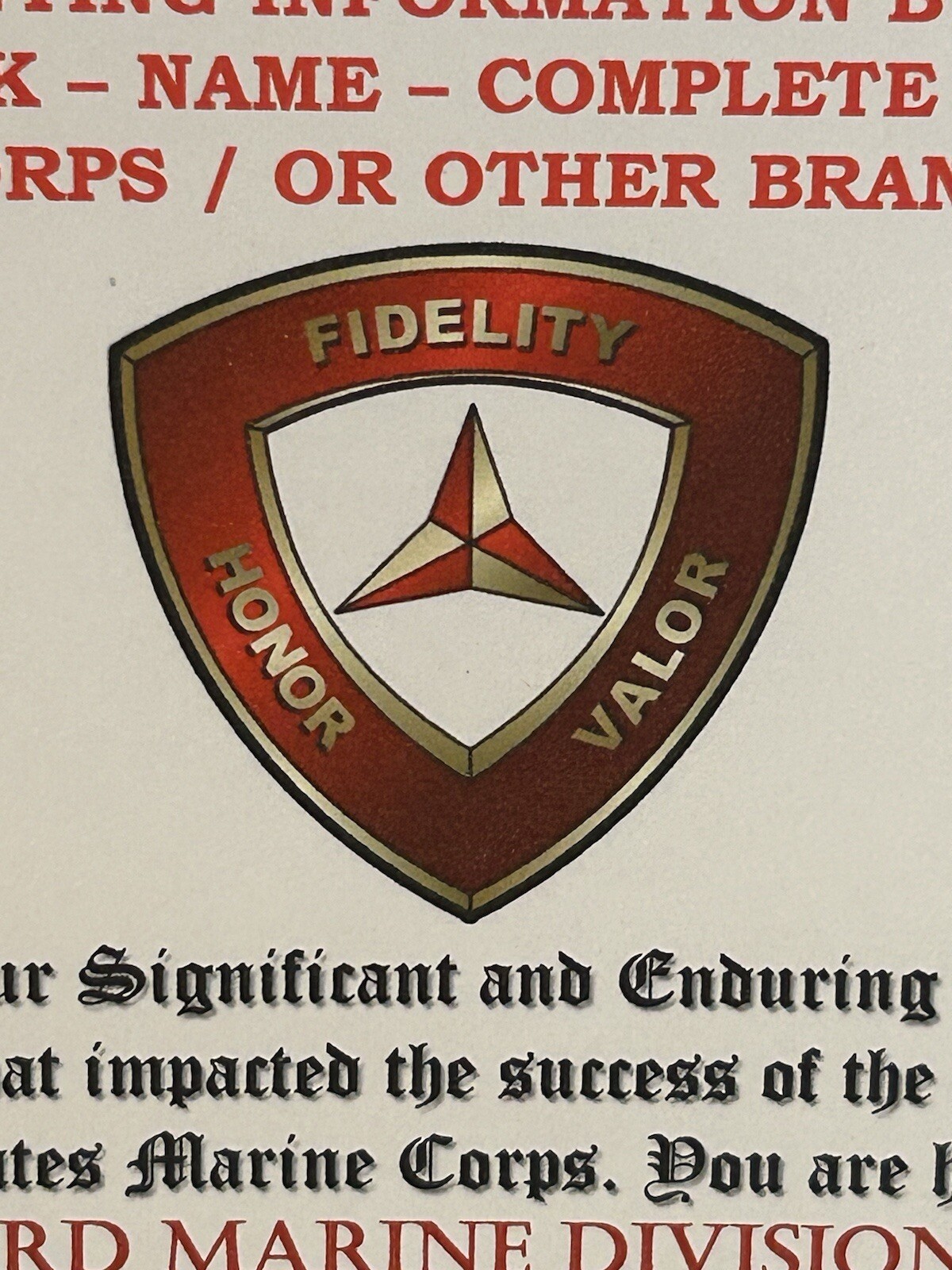U.S. MARINE CORPS / 3RD MARINE DIVISION - EXCELLENCE OF SERVICE AWARD