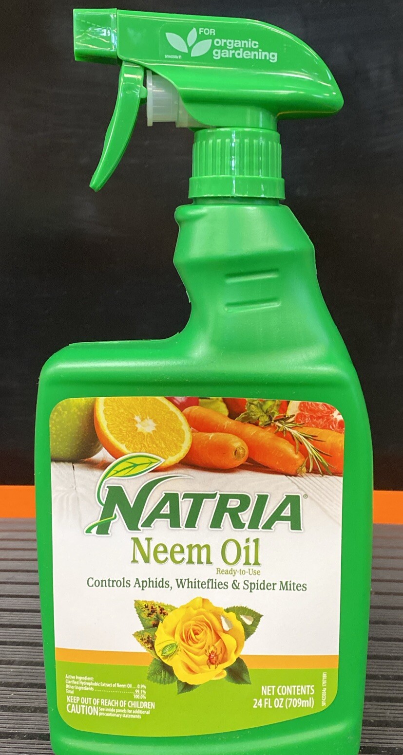 Natria 706250A Neem Oil Spray for Plants Pest Organic Disease Control, 24-Ounce.
