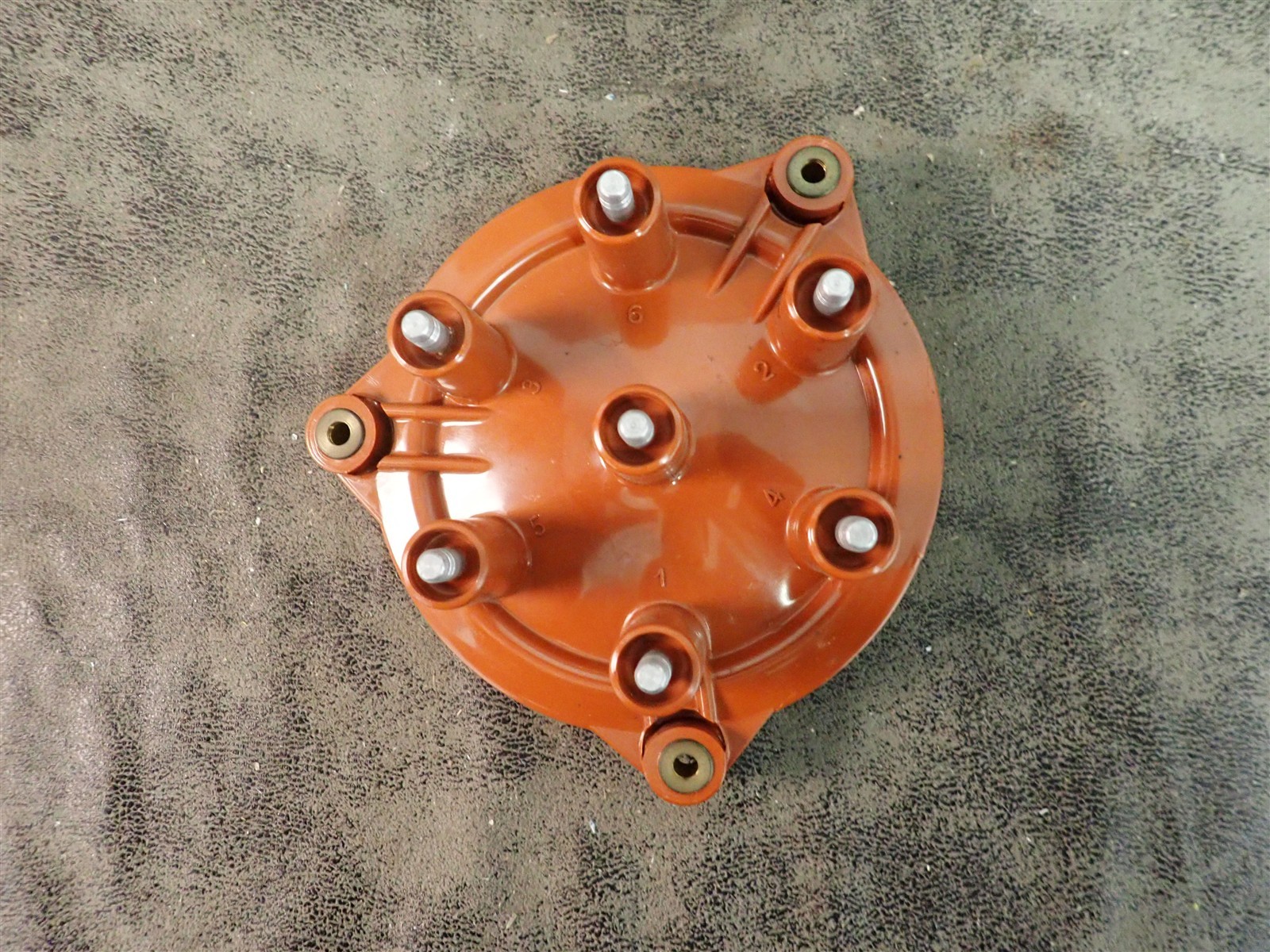 NEW WVE 5D1215 Distributor Cap (G219)