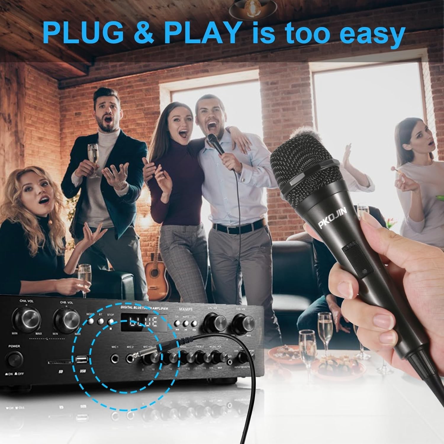 Dynamic Karaoke Microphone - Handheld Wired Mic with 10ft Cable & ON/OFF Switch