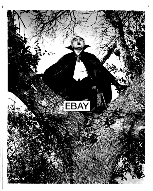 SALE: MUNSTER GO HOME ORIGINAL 1966 MUNSTERS MOVIE PHOTO GRAMPA AL LEWIS