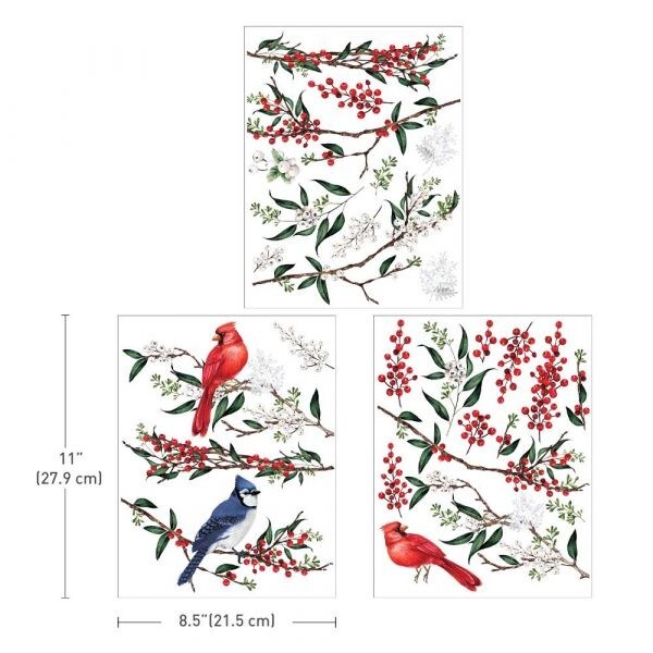 WINTERBERRY Transfer