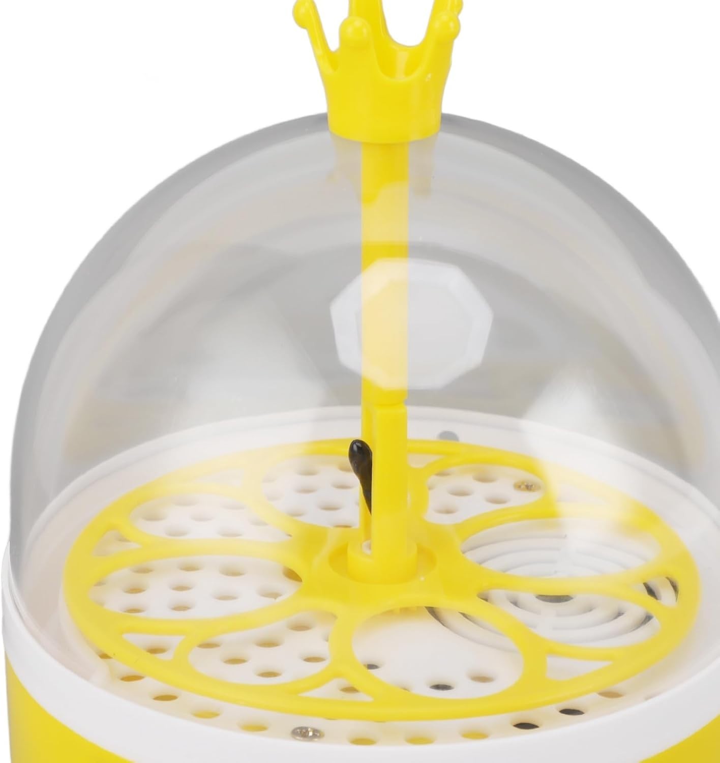 Mini Egg Incubator with Automatic Temperature Humidity Control, Transparent L...