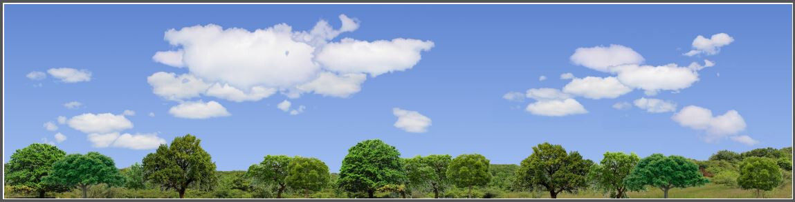 TRACKSIDE BACKDROP #470 Trees and sky HO Scale