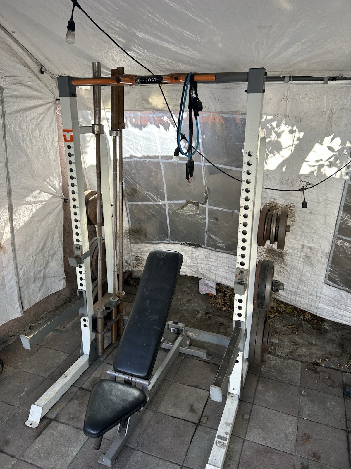 Rack Squat  Pro|500