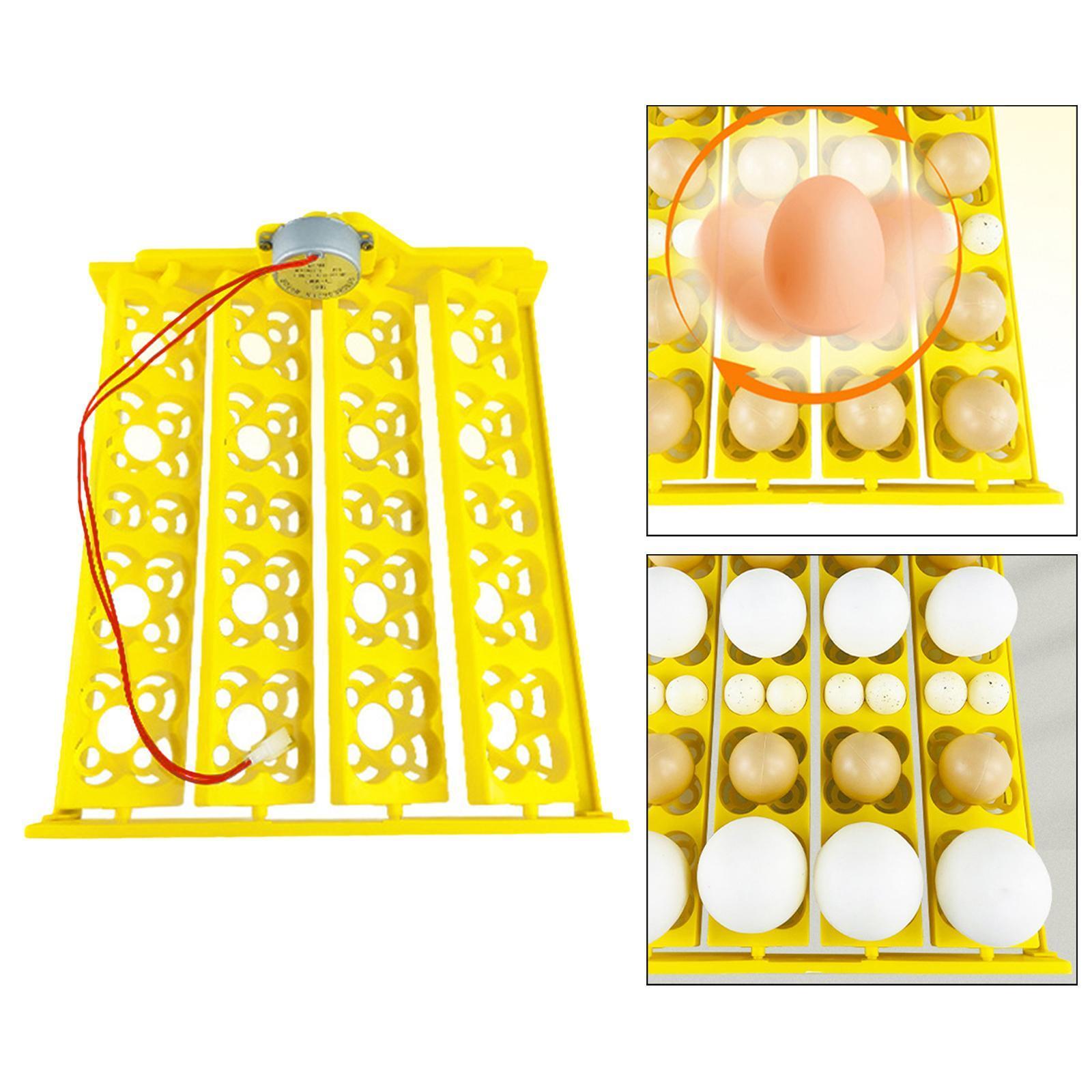 Egg Tray 16 Eggs Turner Tray Hatching for Birds Goose Duck