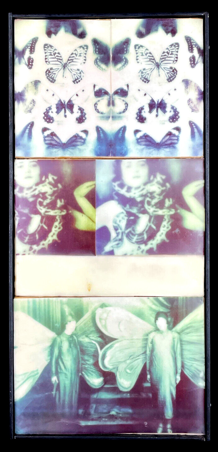 Photography Encaustic Art Surreal Butterfly Snake Anthropomorphic Artist Signed